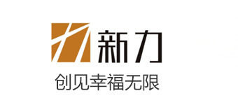 新力地產集團有限公司